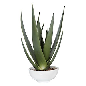 Evarado - 30 inch Aloe Planter