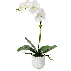 Cami  - 24 inch Orchid - 14 inches wide by 14 inches deep