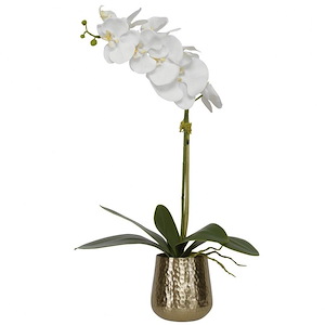 Cami Orchid - 24 Inch Pot