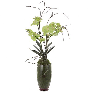 Valdive - Orchid-38 Inches Tall and 21 Inches Wide