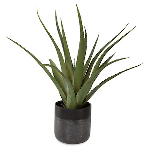 Tucson - Planter-19 Inches Tall and 17 Inches Wide