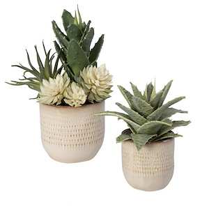 Seaside Succulents - Planter (Set of 2)-12 Inches Tall and 9 Inches Wide