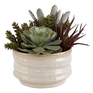 Mesa Succulent - Planter-9 Inches Tall and 10 Inches Wide
