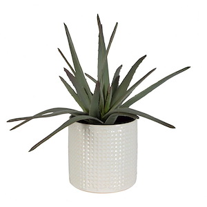 Taos Aloe - Planter-19 Inches Tall and 21 Inches Wide