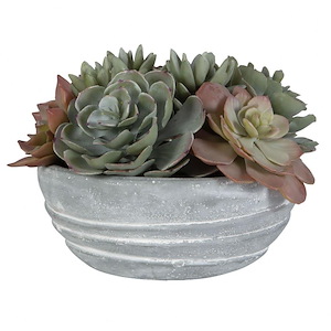 Peoria Succulent - Planter-7 Inches Tall and 10 Inches Wide