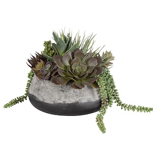 Yuma Succulent - Planter-13 Inches Tall and 15 Inches Wide