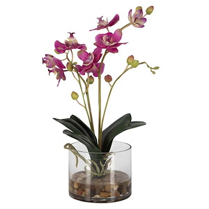 Glory Orchid - Planter-13 Inches Tall and 11.25 Inches Wide