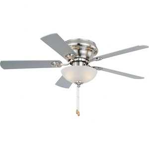 Expo 2-Light Ceiling Fan in Transitional Style 12.5 Inches Tall and 42 Inches Wide