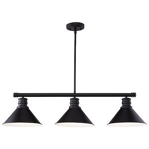 Akron - 3 Light Linear Chandelier In Farmhouse Style-14.25 Inches Tall and 35.75 Inches Wide