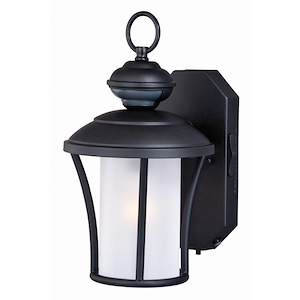 Parker Dualux - One Light Outdoor Wall Lantern
