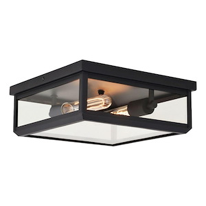 Kinzie 2-Light Outdoor Ceiling in Transitional and Rectangular Style 4.5 Inches Tall and 12 Inches Wide