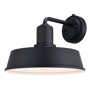 Hammond - 1 Light Outdoor Wall Lantern-9.75 Inch Tall and 12 Inch Wide