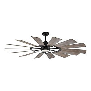Prairie 62-14 Blade Ceiling Fan with Handheld Control and Includes Light Kit-62 Inch Wide by 14.13 Inch High - 692734