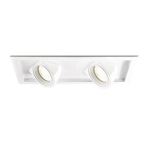 Tesla-45W 2 LED Flood Trim-12.38 Inches Wide by 6.5 Inches High - 437604