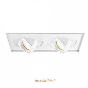 Tesla-45W 40 degree 2700K 90CRI 2 LED Invisible Trim with in Functional Style-10.75 Inches Wide by 3.5 Inches High