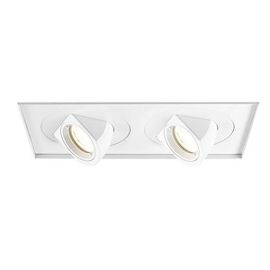 Tesla-45W 2 LED Flood Invisible Trim-16.5 Inches Wide by 10.75 Inches High