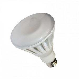 Accessory - 5 Inch LED BR30 Lamp