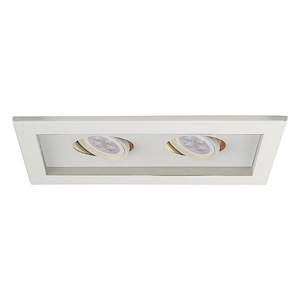 10 Inch 14W 2 LED Low Voltage Multiple Two Light Trim