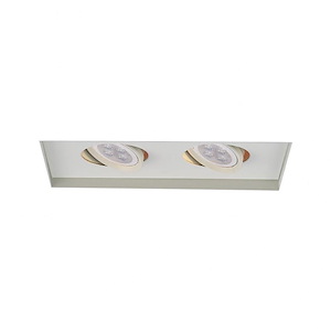 10.38 Inch 14W 2 LED Low Voltage Multiple Two Light Invisible Trim
