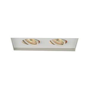 Two Light Low Voltage Multiple Two Light Invisible Trim