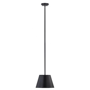 Lilly - 1 Light Pendant In Industrial Style-9.5 Inches Tall and 12 Inches Wide - 1325400